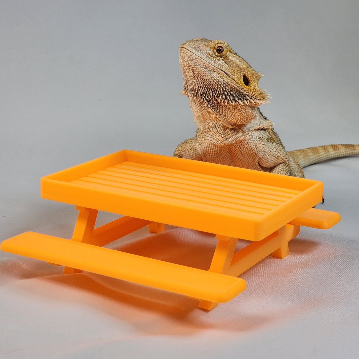 Reptile Picnic Table / Colored Large food dish for bearded dragon / miniature Picnic table  / Gecko and reptile decor|