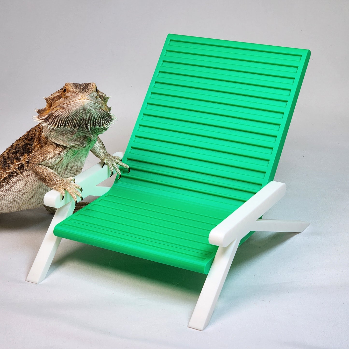 Reptile Beach Lounging Chair | Bearded dragon and leopard gecko hammock lounger and basking spot, Bearded dragon furniture decor