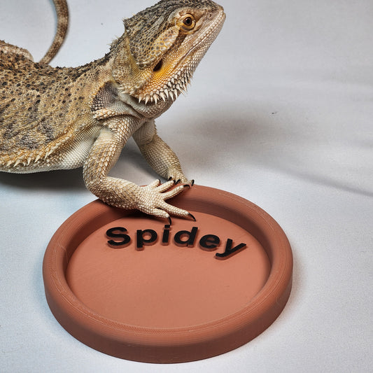 Personalized Large reptile Feeding dish/water dish for bearded dragons and leopard gecko's
