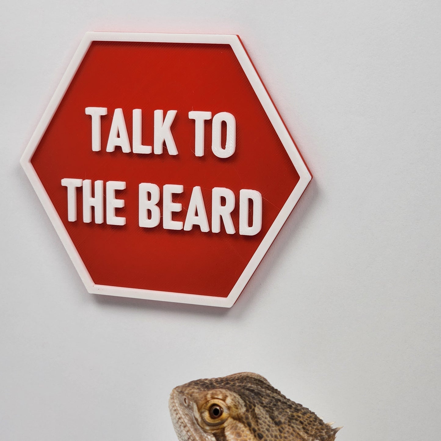 Funny Bearded Dragon Decor for small pet cages | Talk To The Beard | Pet cage decor