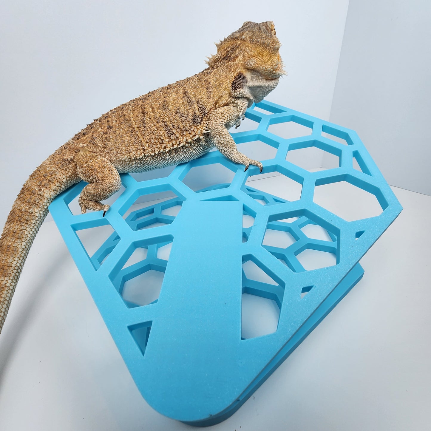 Hexagonal Reptile Basking platform | Basking Hammock Lounger | Bearded dragon and reptile lounging spot