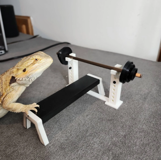 Mini Bench Press perch for Bearded Dragon/ pets and reptiles