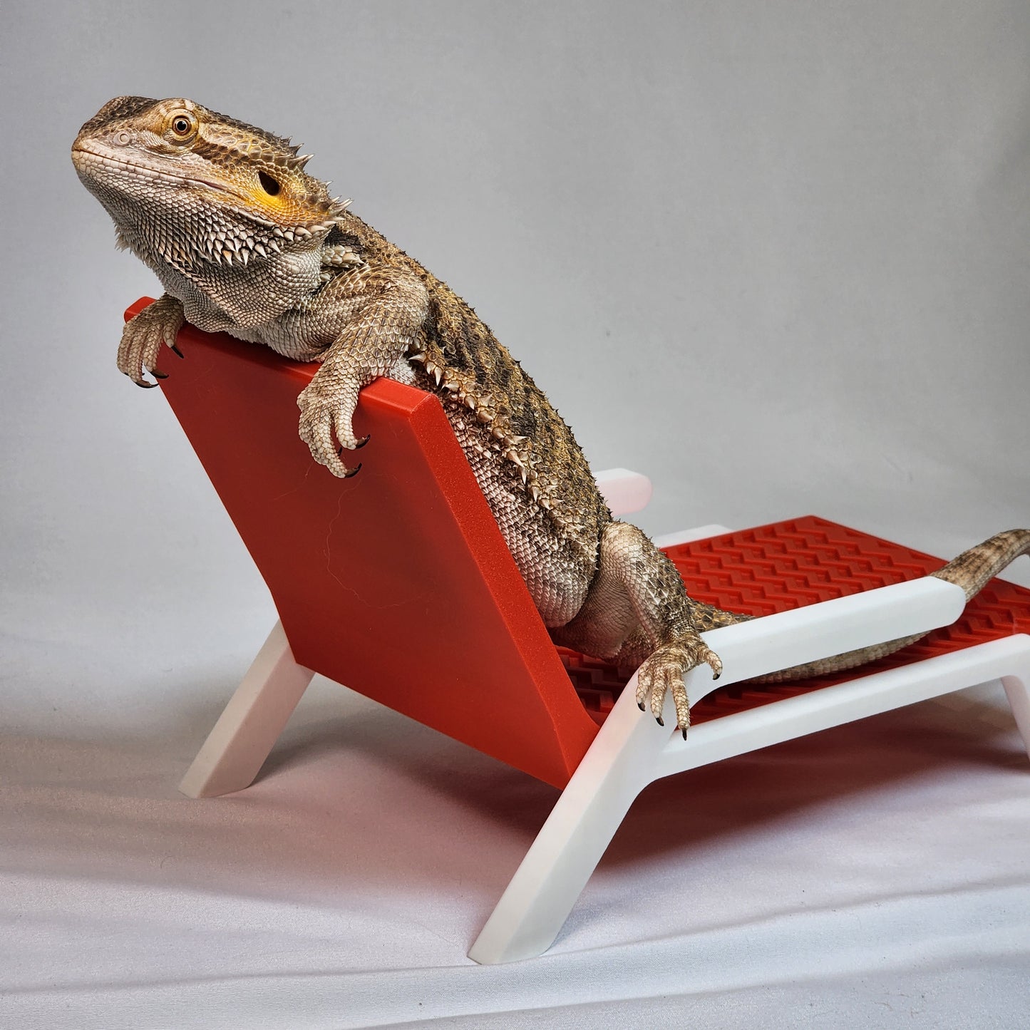 Reptile Lounging Chair 2.0 | Bearded dragon and leopard gecko hammock lounger and basking spot, Bearded dragon furniture decor
