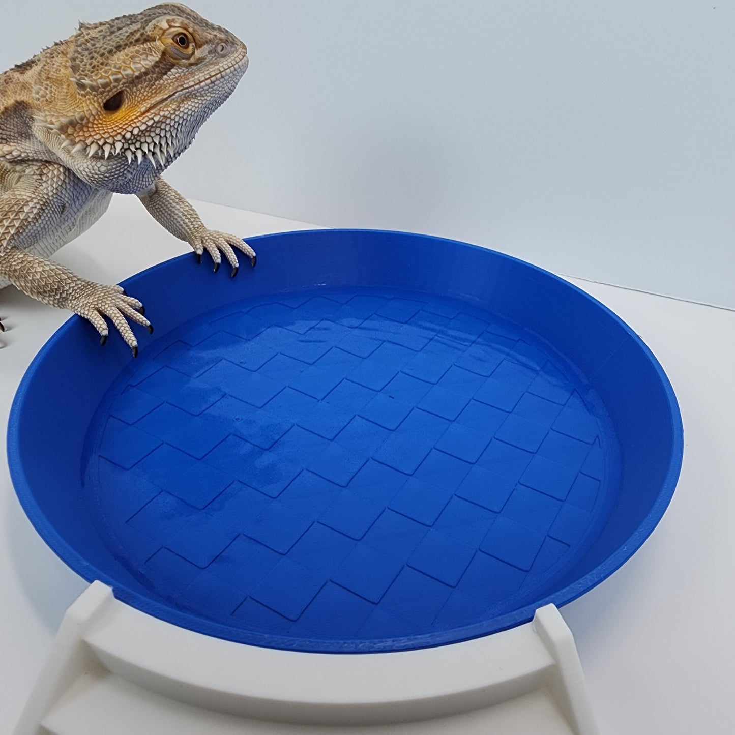 Bearded Dragon/Gecko water bowl and bathing spot | Mini Baby pool for reptile terrarium | Bearded dragon tank decor