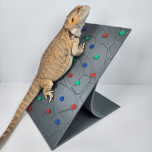Repti-Rock Wall! Reptile Lounging and Basking platform | Basking spot Hammock Lounger for Bearded dragons and Geckos | Bearded dragon decor