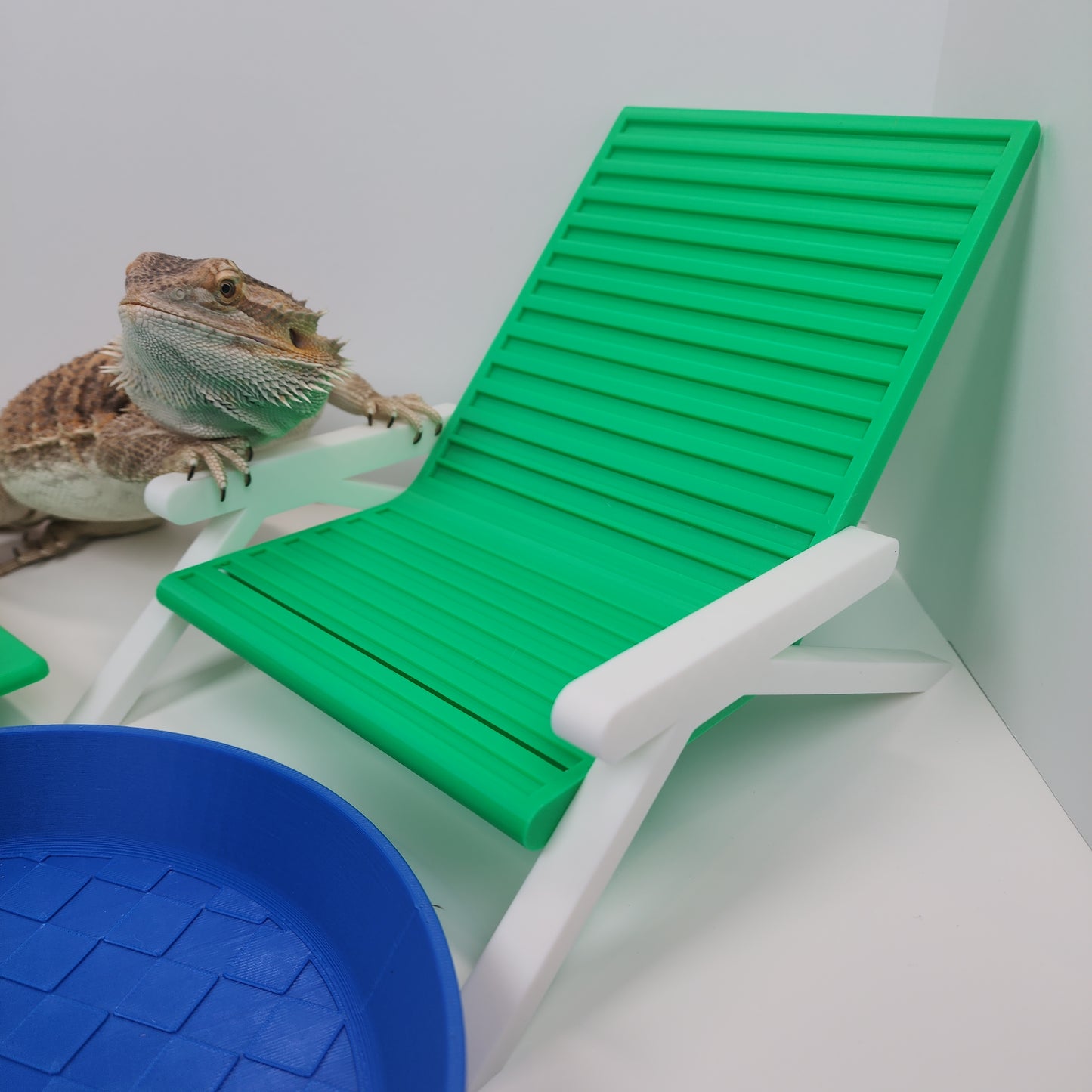Bearded Dragon Utopia Bundle | Beardie Beach chair, picnic table dish, and Spa Pool! Bearded dragon decor pack reptile