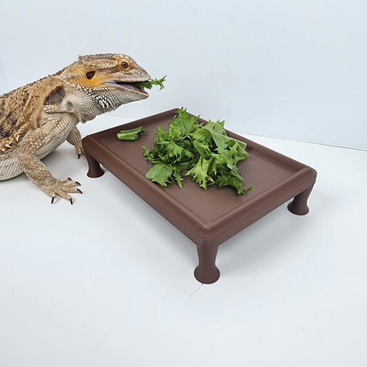 Reptile Coffee table / Large food dish for bearded dragon / miniature coffee table/ Reptile decor | Exclusive color!