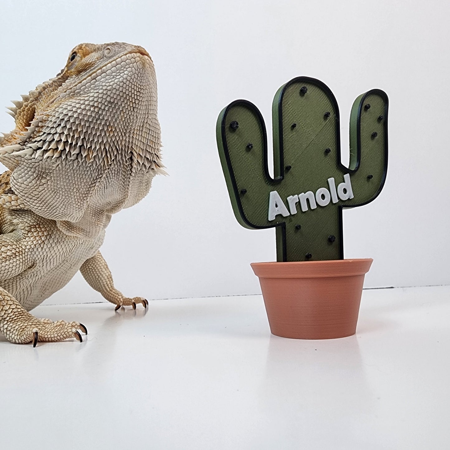Personalized Cactus Name Sign with Stand for Amphibians, Reptiles and More! Bearded dragons, Geckos, Tarantulas, Snakes...