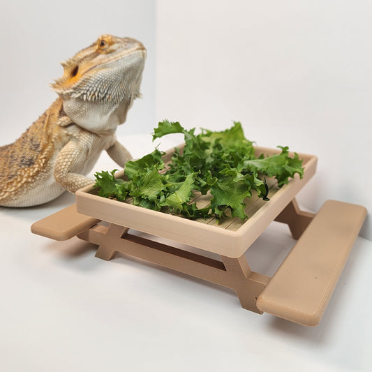 Reptile Picnic Table / Large food dish for bearded dragon / miniature Picnic table  / Gecko and reptile decor| EXCLUSIVE COLOR