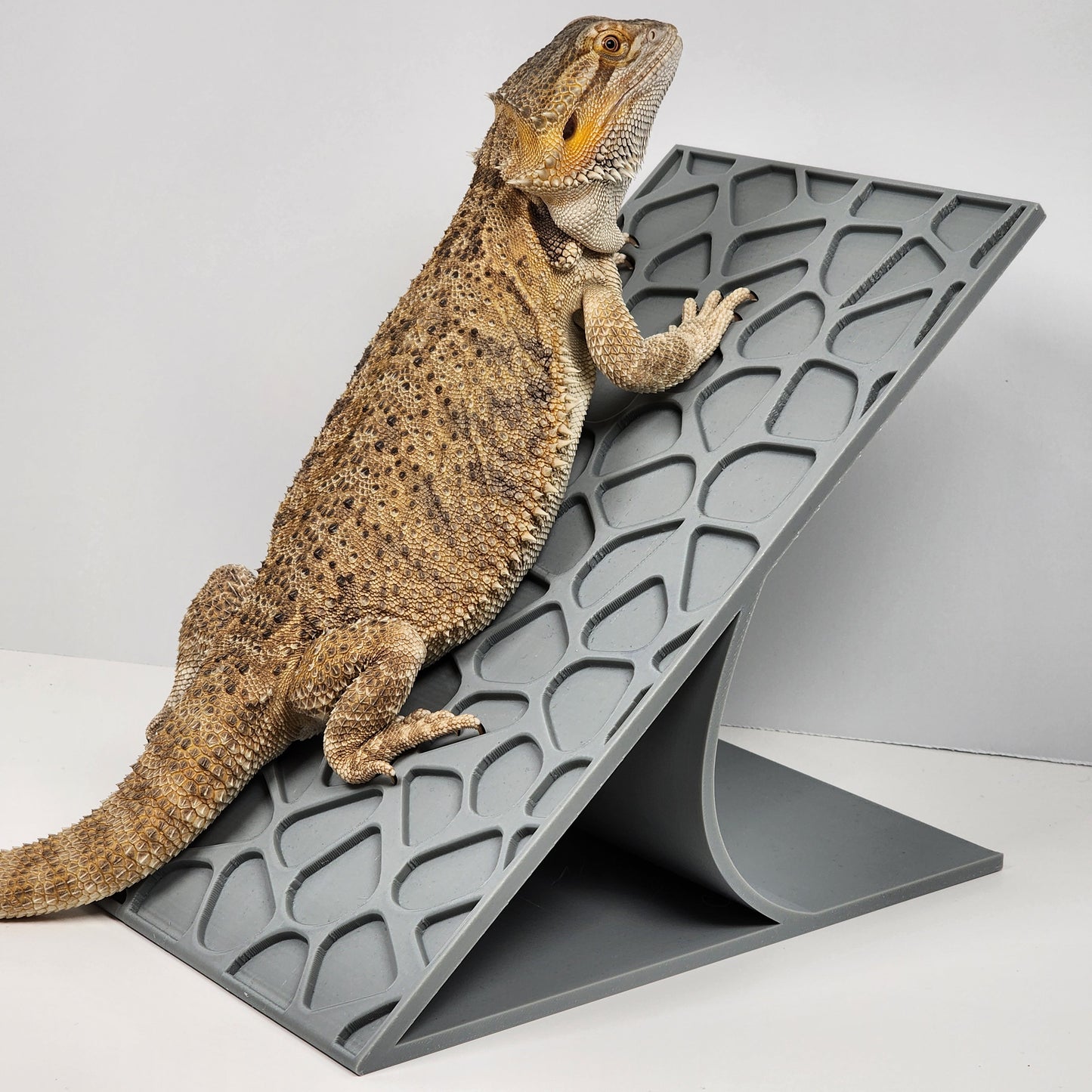 Rock Ramp Reptile Basking Platform | Basking spot Hammock Lounger for Bearded dragons and Geckos | Bearded dragon decor