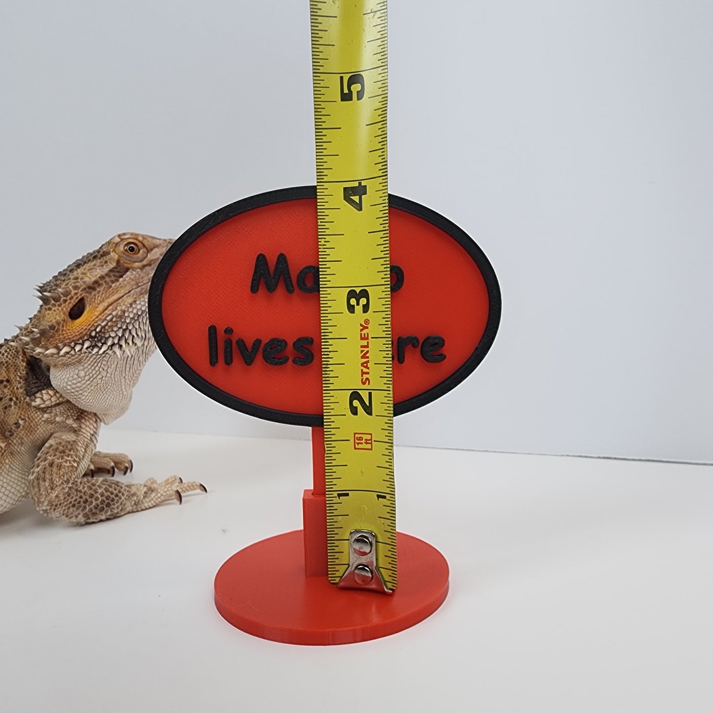 Personalized Name Sign with Stand for Amphibians, Reptiles and More! Bearded dragons, Geckos, Tarantulas, Snakes, Chameleons and more!