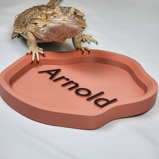 Desert Themed Large Personalized Water feeding dish for Bearded Dragons and other reptiles