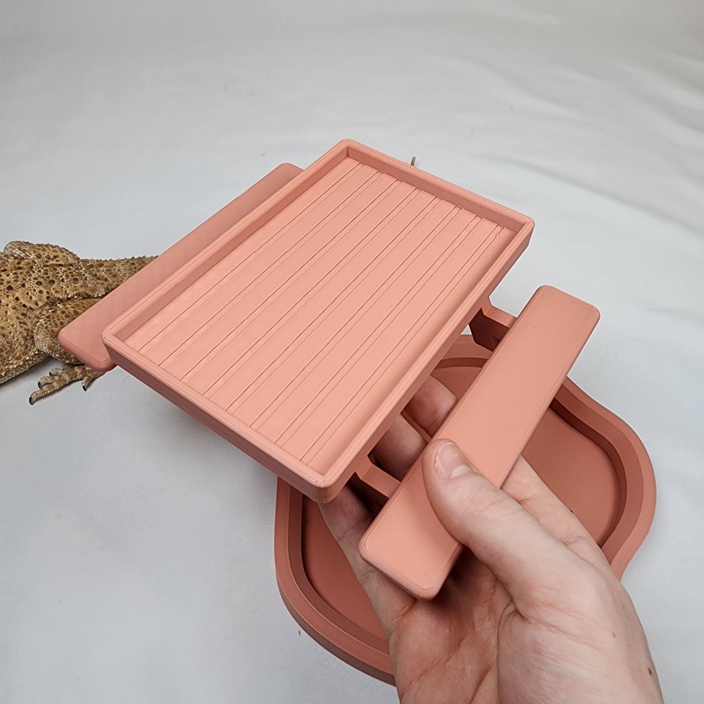 Desert Themed Bearded Dragon Greens and Water Dish Pack | Feeding Picnic Table and Large bowl for bearded dragons