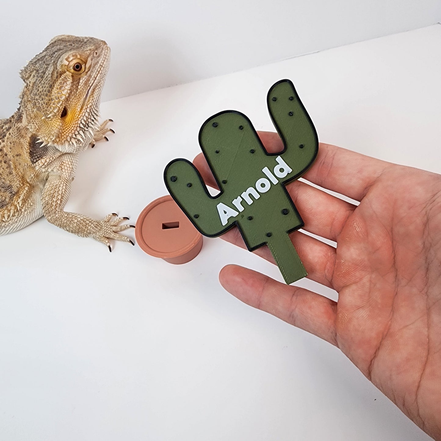 Personalized Cactus Name Sign with Stand for Amphibians, Reptiles and More! Bearded dragons, Geckos, Tarantulas, Snakes...