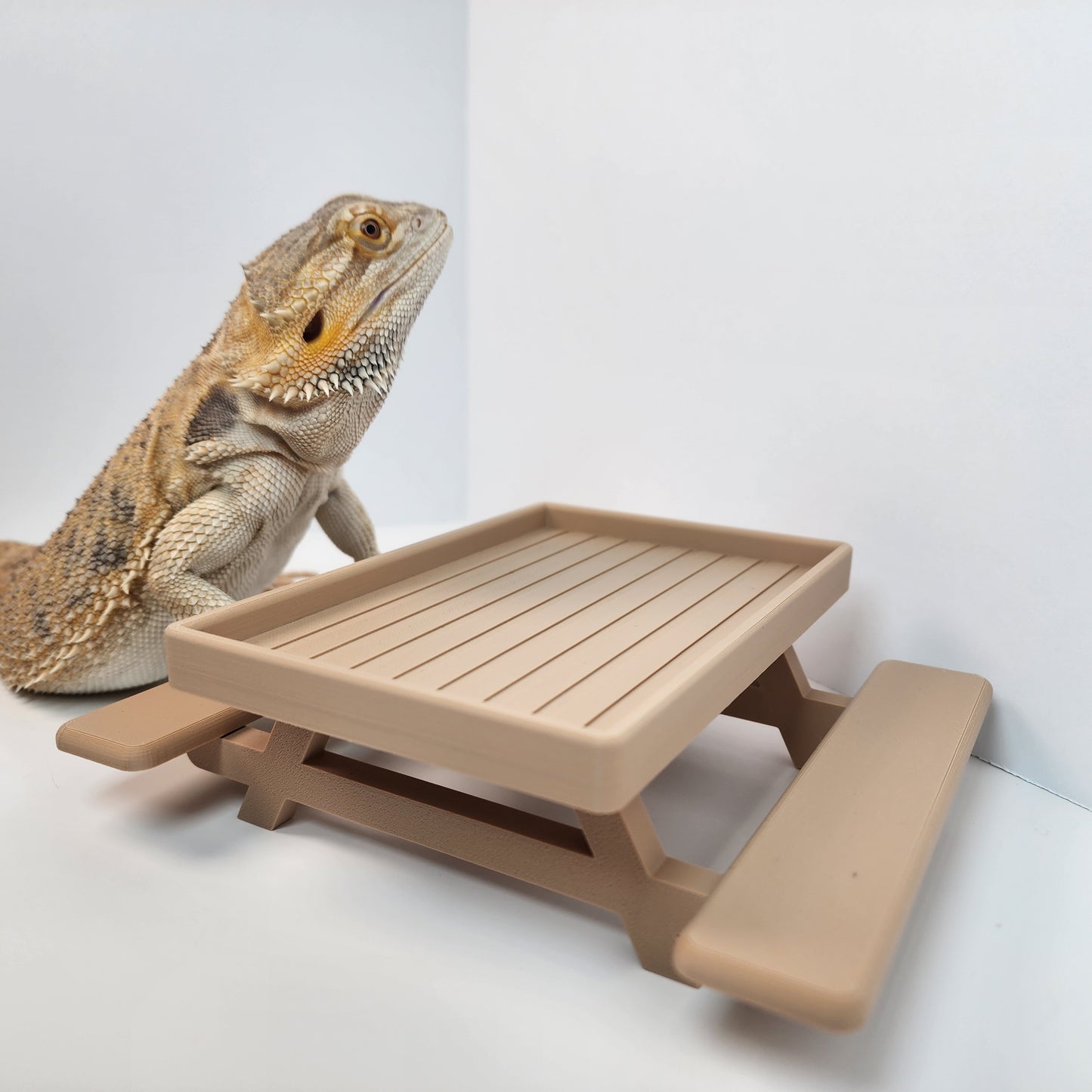 Reptile Picnic Table / Large food dish for bearded dragon / miniature Picnic table  / Gecko and reptile decor| EXCLUSIVE COLOR