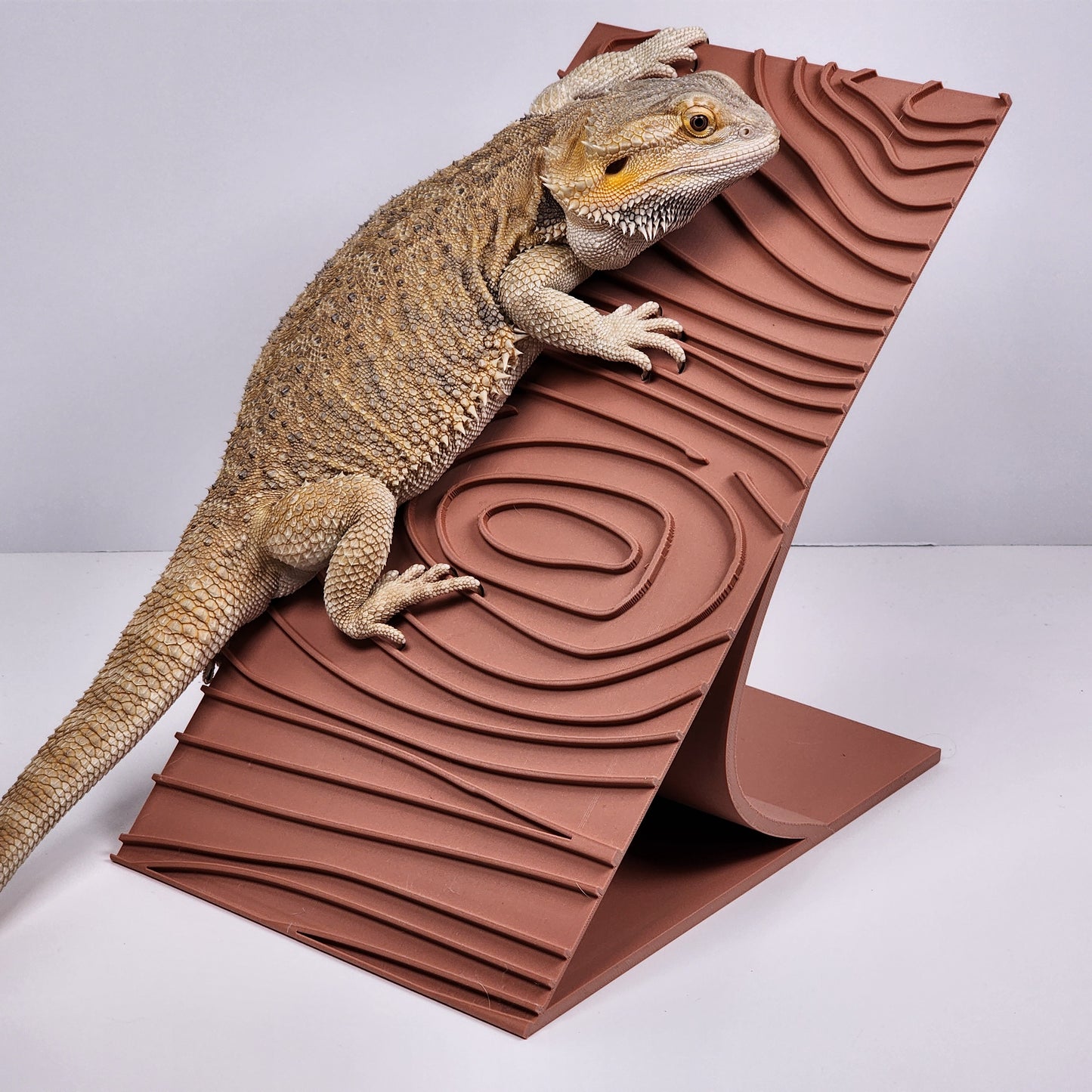 Desert Ramp Reptile Basking Platform | Basking spot Hammock Lounger for Bearded dragons and Geckos | Bearded dragon decor