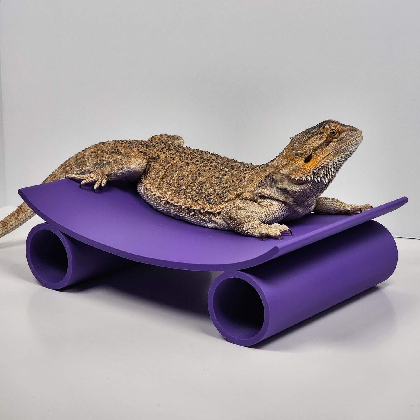 Bearded Dragon Hammock 2.0 | Large Reptile Lounge | Reptile Basking | Terrarium Decor | Bearded Dragon Furniture | Leopard gecko decor