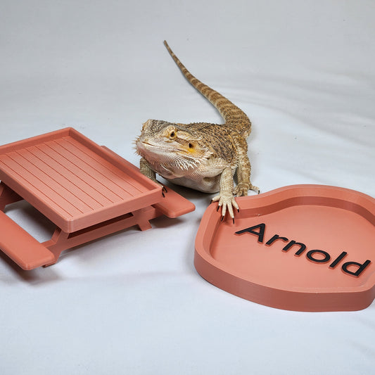 Desert Themed Bearded Dragon Greens and Water Dish Pack | Feeding Picnic Table and Large bowl for bearded dragons