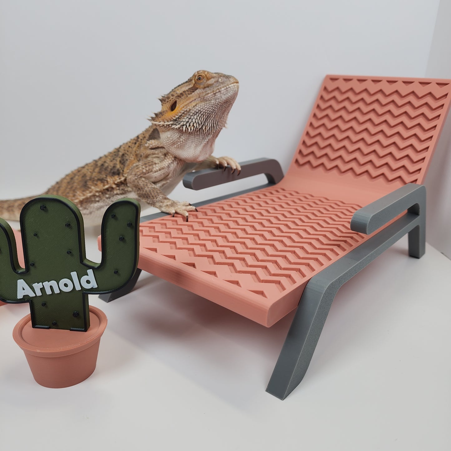 Bearded Dragon Sahara Suite Kit | Beardie lounge chair, picnic table dish, and personalized cactus sign stand! Bearded dragon decor reptile desert
