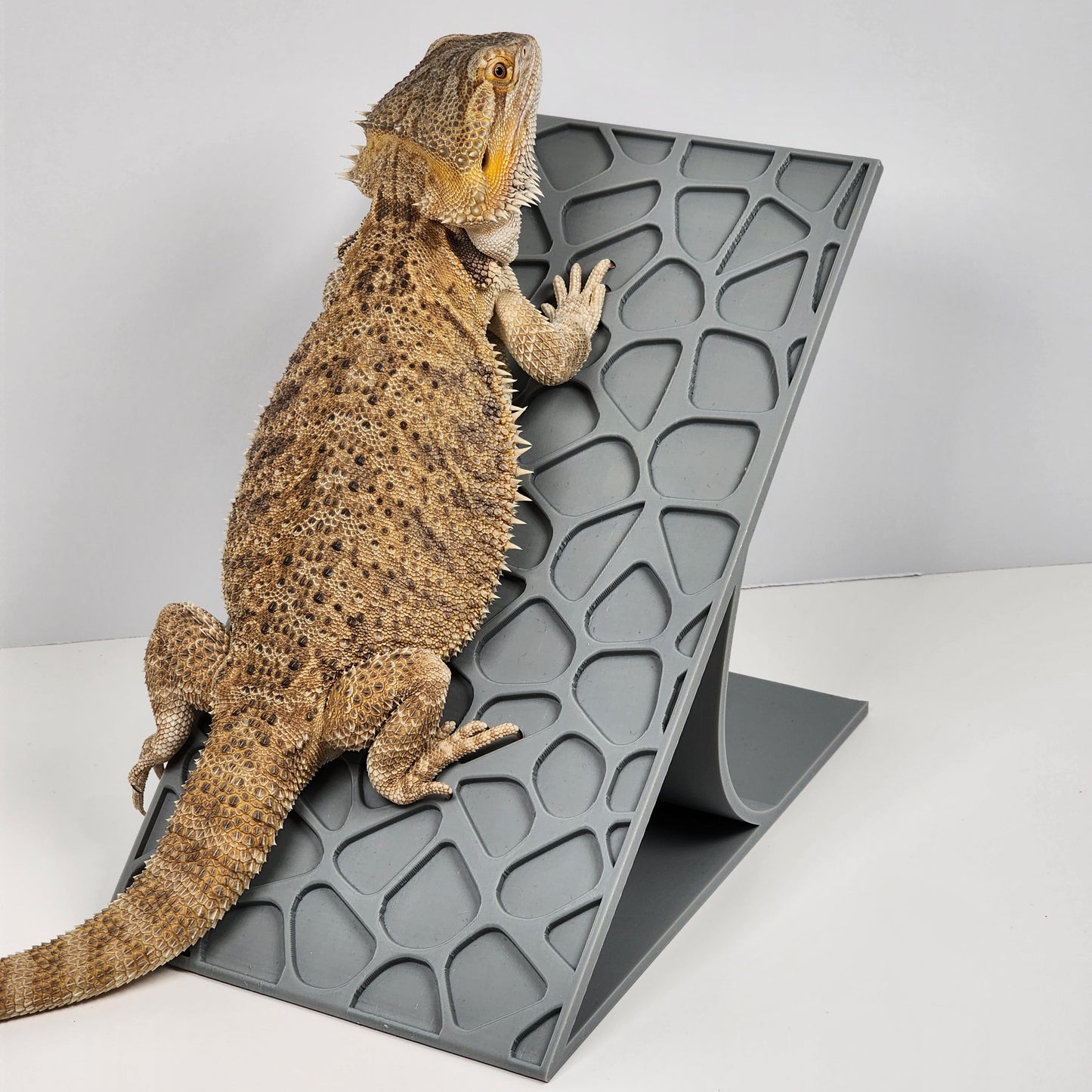 Rock Ramp Reptile Basking Platform | Basking spot Hammock Lounger for Bearded dragons and Geckos | Bearded dragon decor