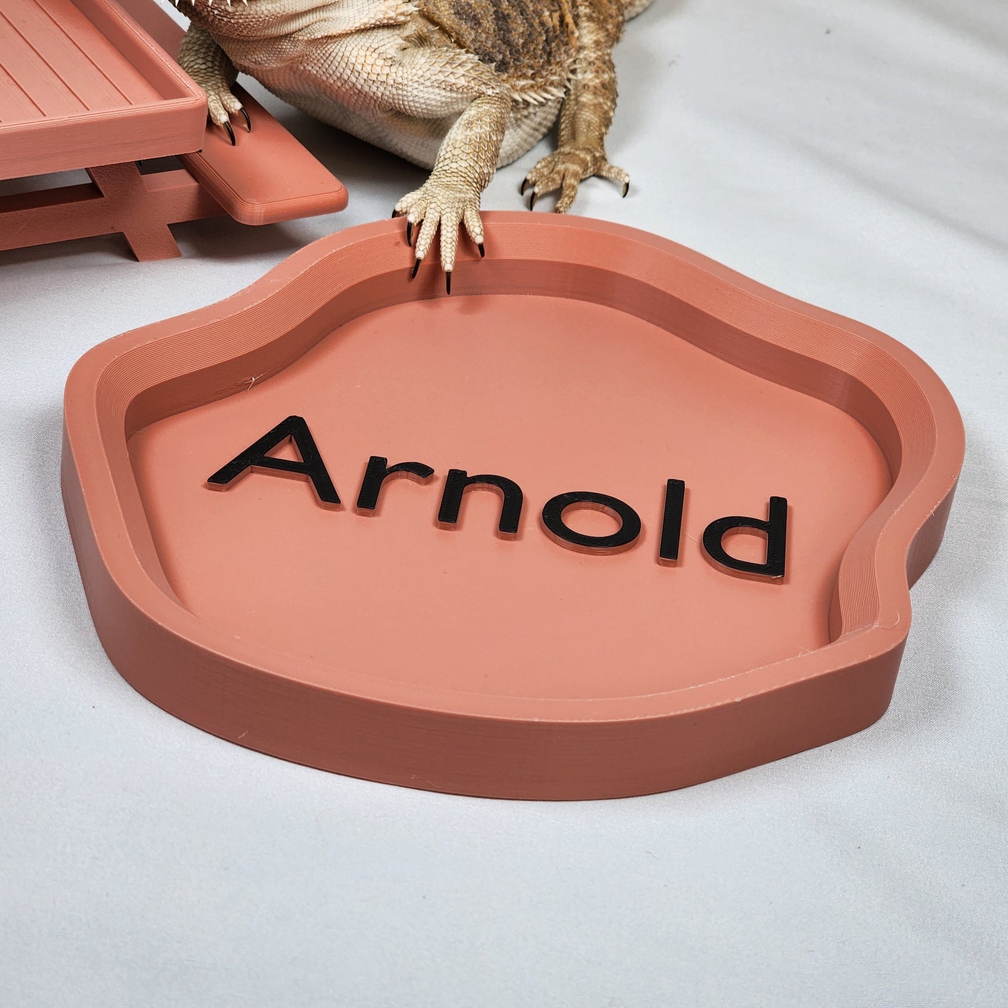 Desert Themed Large Personalized Water feeding dish for Bearded Dragons and other reptiles