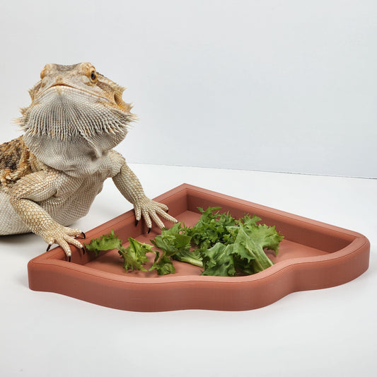 Corner salad/feeding dish for bearded dragons and leopard geckos/ accessories and decor