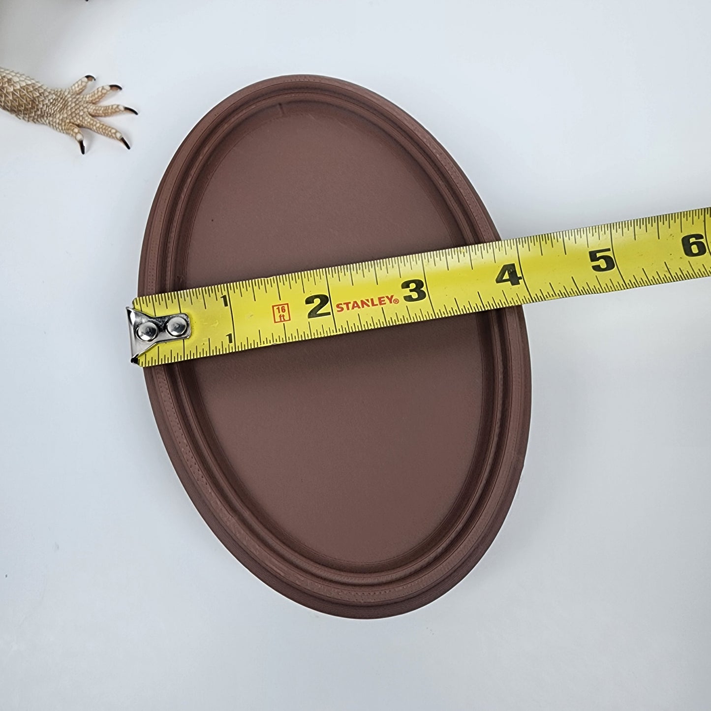 Oval Reptile Coffee table / Large food dish for bearded dragon and Gecko / miniature coffee table/ Reptile decor | EXCLUSIVE